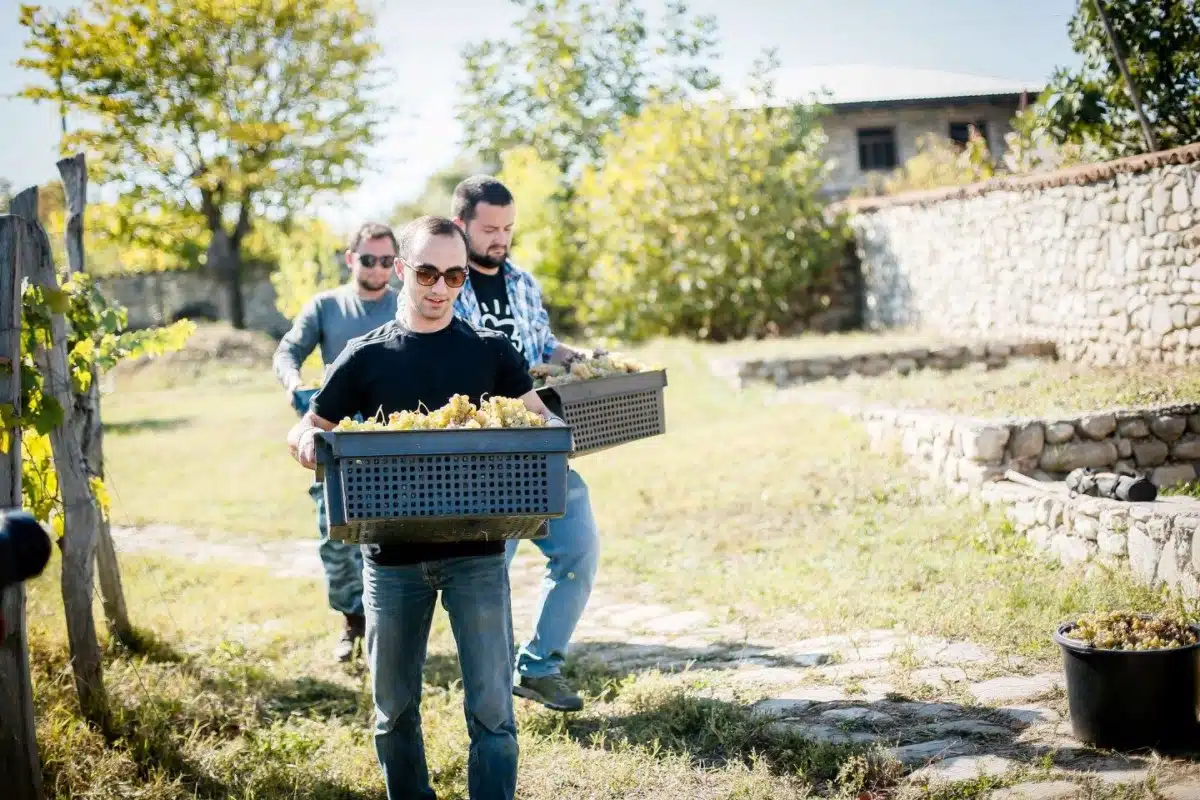 Temuri Dakishvili | Ghvino.nl