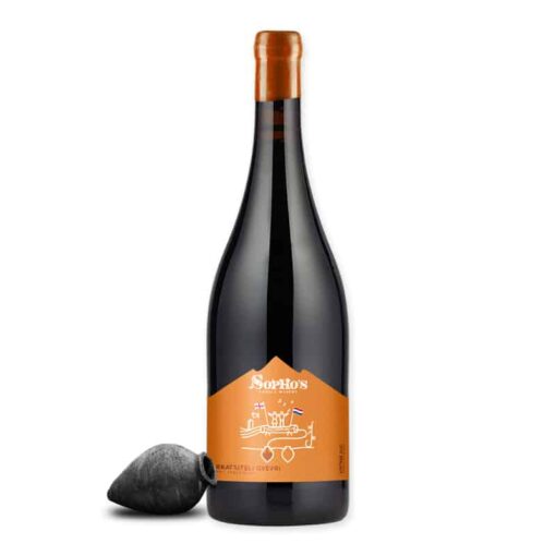 Sopho's winery Rkatsiteli Qvevri