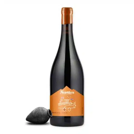 Sopho's winery Rkatsiteli Qvevri