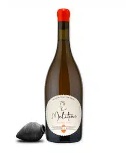 Ontdek de unieke Melitoni Rkatsiteli Bolnisi, een amberkleurige Qvevri-wijn vol aroma's van gedroogd fruit. Proef de geschiedenis van Georgië!