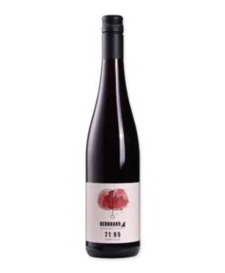 Ontdek Bernhard 71 |95 Cuvée rot trocken Biowein