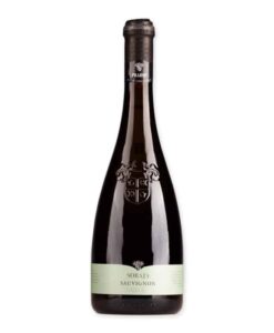 Ervaar Cielo Pradio Friuli Sauvignon Blanc