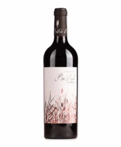 Ervaar de diepte van Rio Lindo Syrah