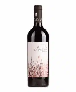 Ervaar de diepte van Rio Lindo Syrah
