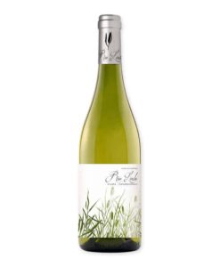 Ontdek Rio Lindo Viura / Chardonnay