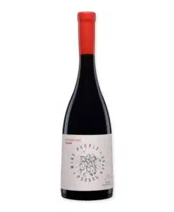 Wine People Red Blend Kakheti is een volle qvevriwijn van Saperavi en Merlot. Gemaakt door Giorgi Babunidze in Napareuli